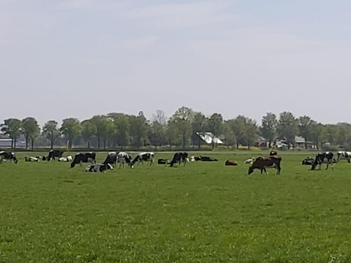 Luxe gastenverblijf in het hart van Friesland Akkrum Buitenkant foto