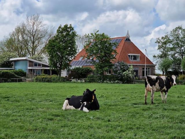 Luxe gastenverblijf in het hart van Friesland Akkrum Buitenkant foto